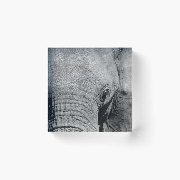 Item preview, Elephant designed and sold by eKemmerich.