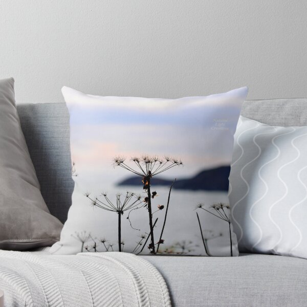Item preview, " December Twilight "  designed and sold by Richard Couchman.