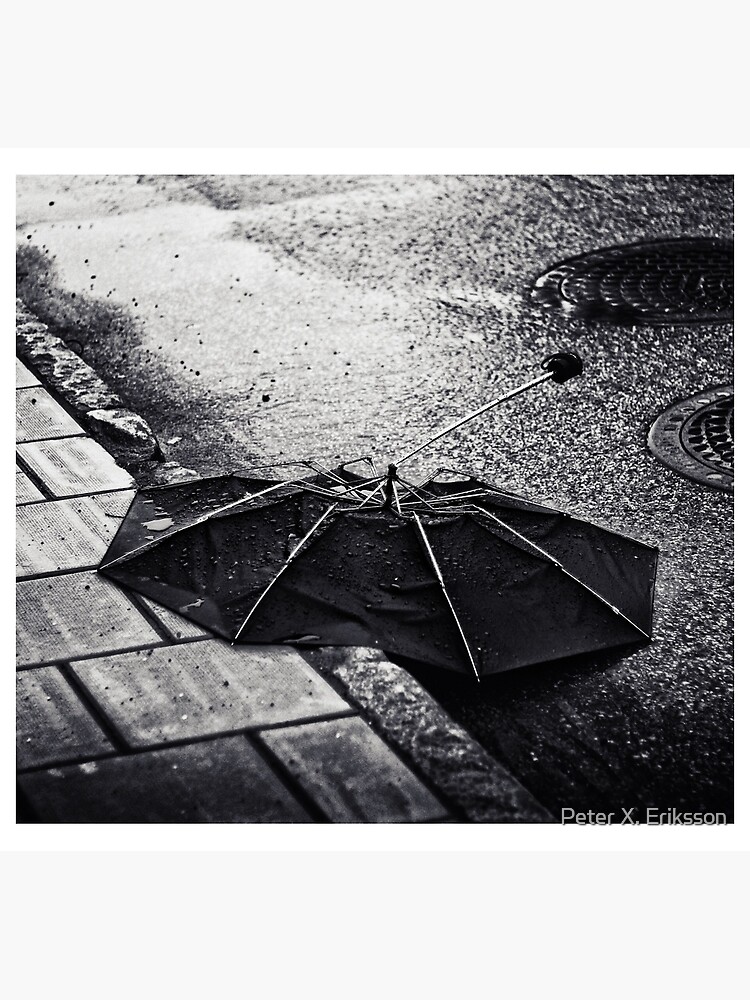 After the rain by Peterix