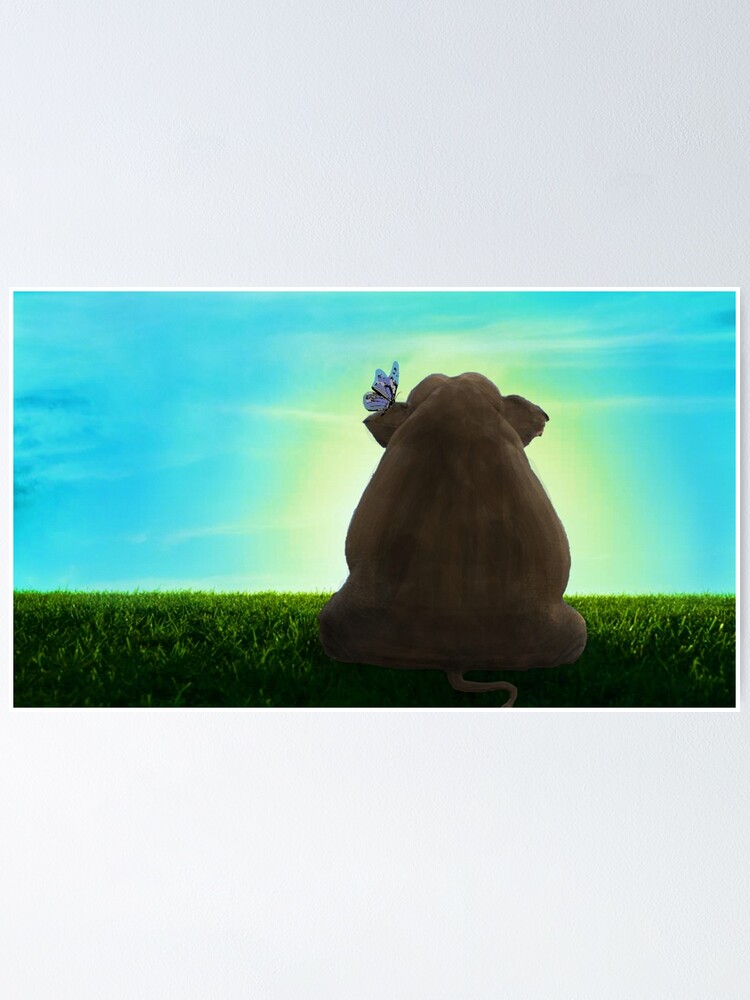 " RELATIVES OF THE NCIS elephant in the room ORIGINALZEN MASTER