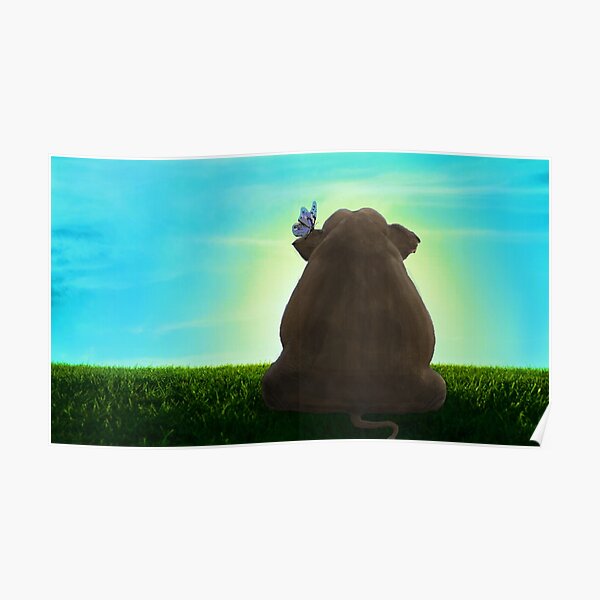 " RELATIVES OF THE NCIS elephant in the room ORIGINALZEN MASTER