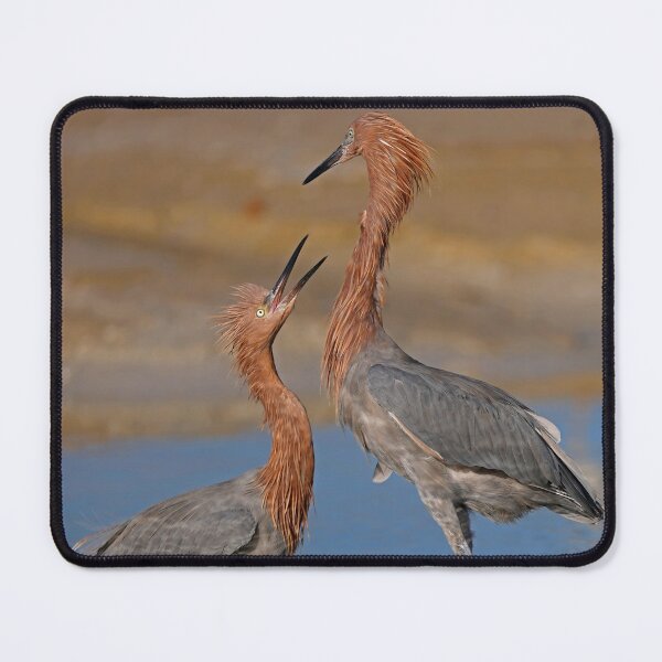 Item preview, Will you marry me ! designed and sold by Anthony Goldman.