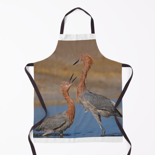 Item preview, Will you marry me ! designed and sold by Anthony Goldman.