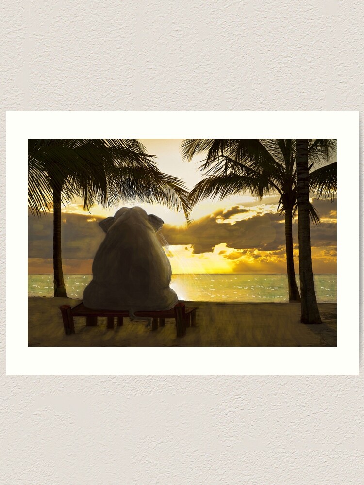 "RELATIVES OF THE NCIS elephant in the room ORIGINALTROPICS VACATION