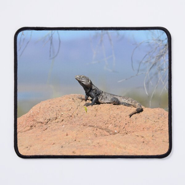 Item preview, Arizona Lizard designed and sold by Kathleen Brant.