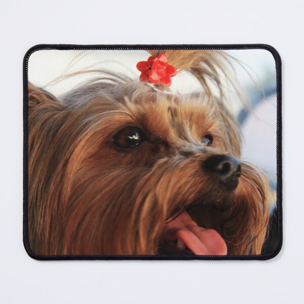 Item preview, Ms. Lucy designed and sold by Alyce Taylor.