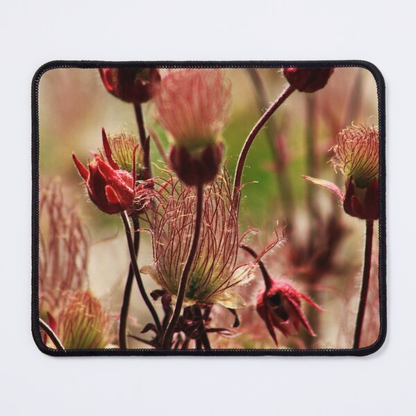 Item preview, Prairie Smoke designed and sold by Alyce Taylor.