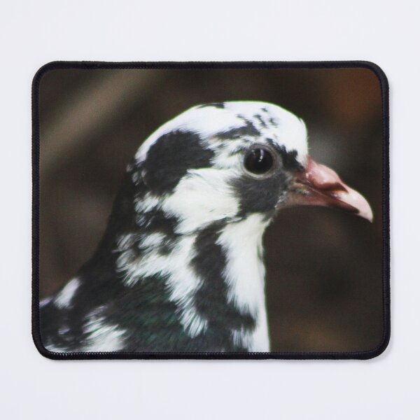 Item preview, Squab designed and sold by Alyce Taylor.
