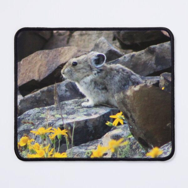 Item preview, Pika designed and sold by Alyce Taylor.