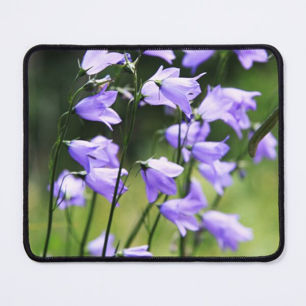 Item preview, Harebell designed and sold by Alyce Taylor.