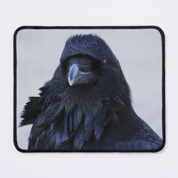Item preview, Portrait of a Raven designed and sold by Alyce Taylor.
