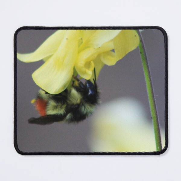 Item preview, Bee designed and sold by Alyce Taylor.