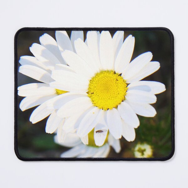 Item preview, Daisies designed and sold by Alyce Taylor.