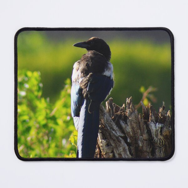 Item preview, Magpie in the Park designed and sold by Alyce Taylor.