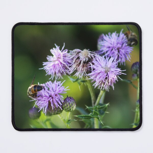 Item preview, Thistles and Bees designed and sold by Alyce Taylor.
