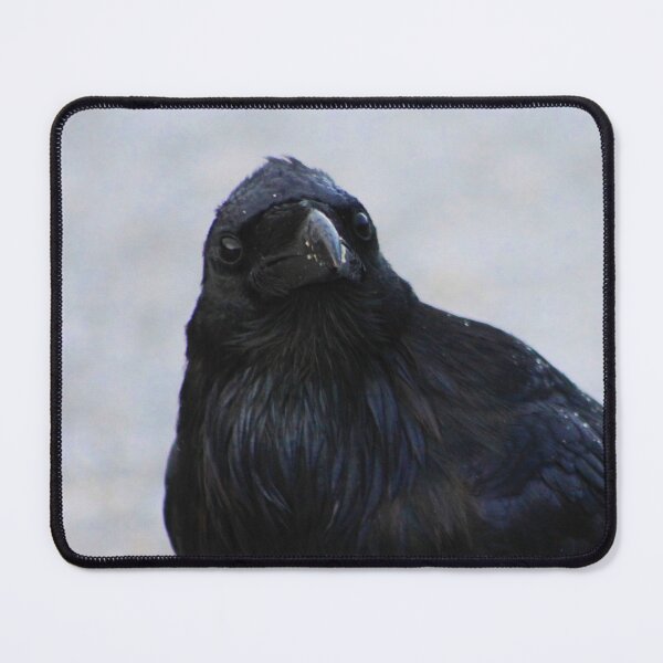Item preview, Raven designed and sold by Alyce Taylor.
