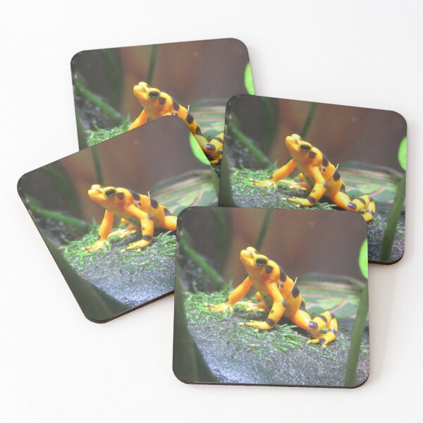 Item preview, Yellow Frog designed and sold by brittanyelaine.