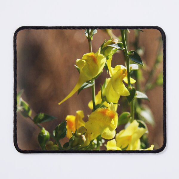 Item preview, Snapdragons designed and sold by Alyce Taylor.