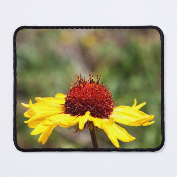 Item preview, Great Blanket Flower designed and sold by Alyce Taylor.