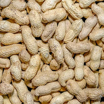 Artwork thumbnail, Salted Raw Peanuts In Shells Food Photo Pattern by patternsoup