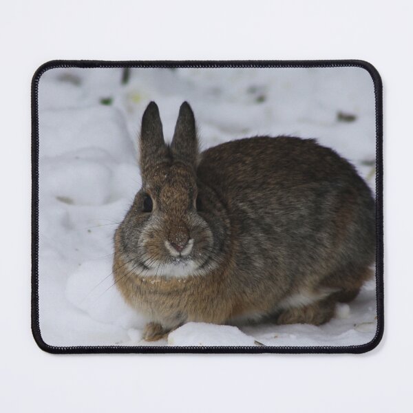 Item preview, Mountain Cottontail designed and sold by Alyce Taylor.