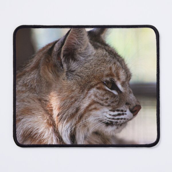 Item preview, Lynx designed and sold by Alyce Taylor.
