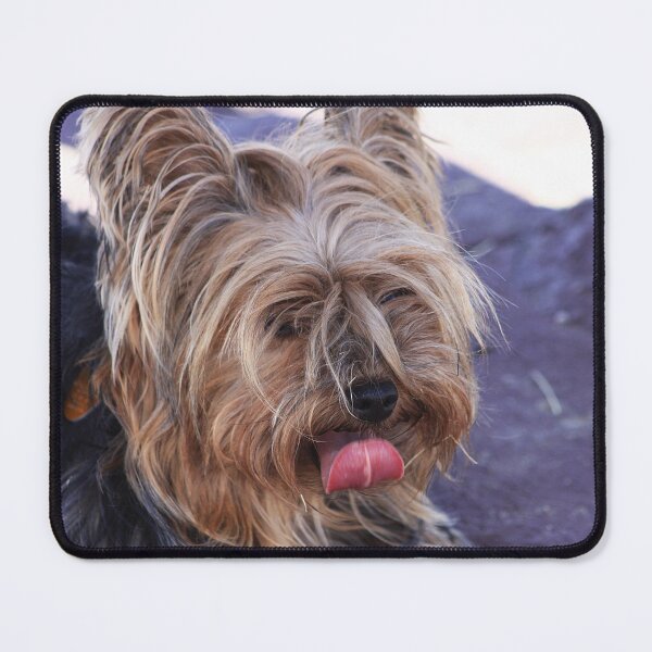 Item preview, Cooling Off designed and sold by Alyce Taylor.