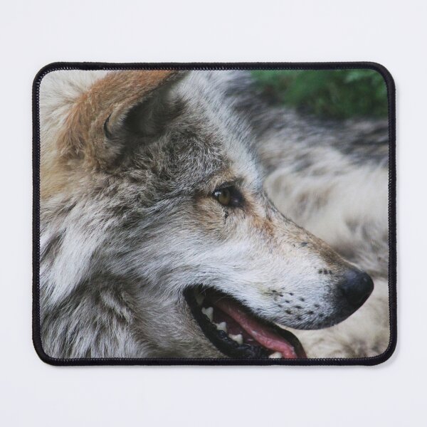 Item preview, Enjoying the Shade designed and sold by Alyce Taylor.
