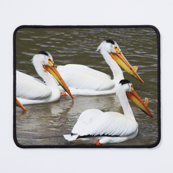 Item preview, Three Pelicans designed and sold by Alyce Taylor.