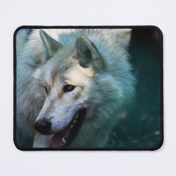 Item preview, Looking for Dinner designed and sold by Alyce Taylor.