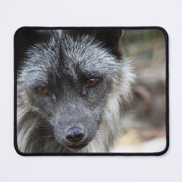 Item preview, Silver Fox designed and sold by Alyce Taylor.