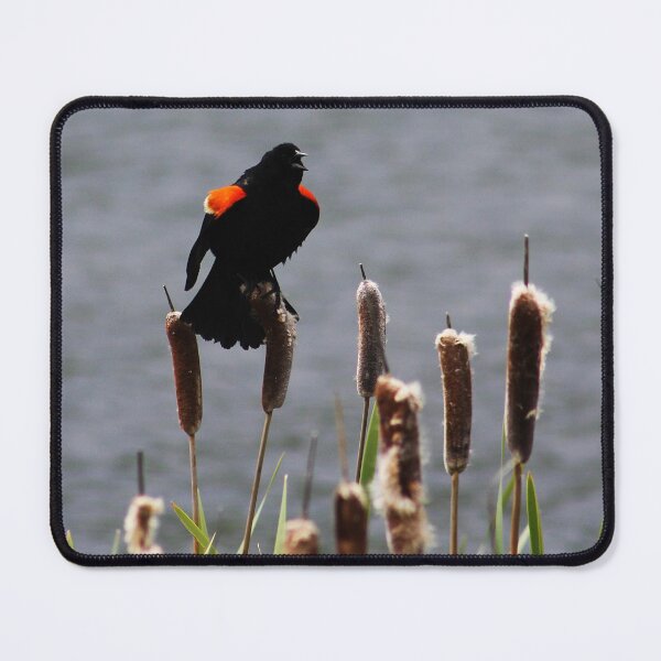 Item preview, Blackbird's Song designed and sold by Alyce Taylor.
