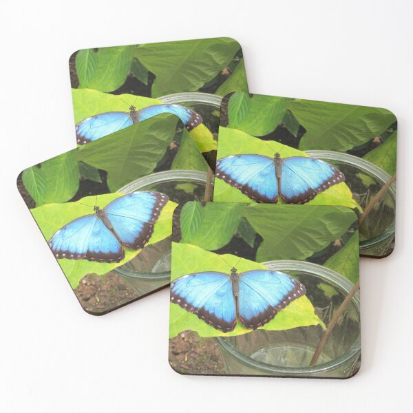 Item preview, Blue Morpho designed and sold by brittanyelaine.
