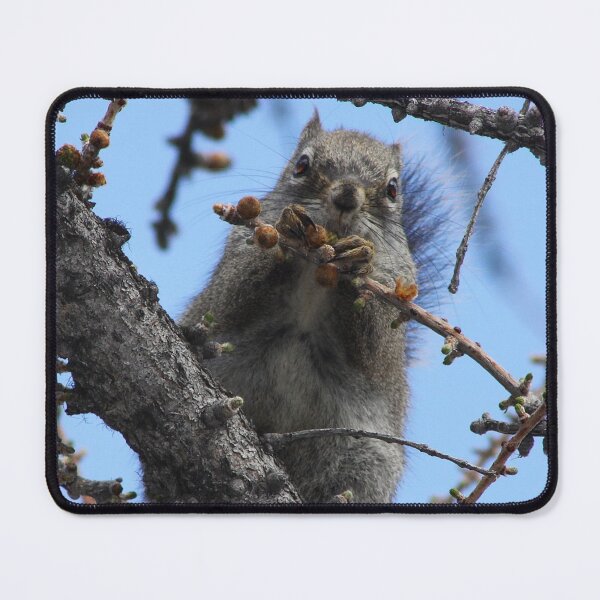 Item preview, Pine Nuts designed and sold by Alyce Taylor.