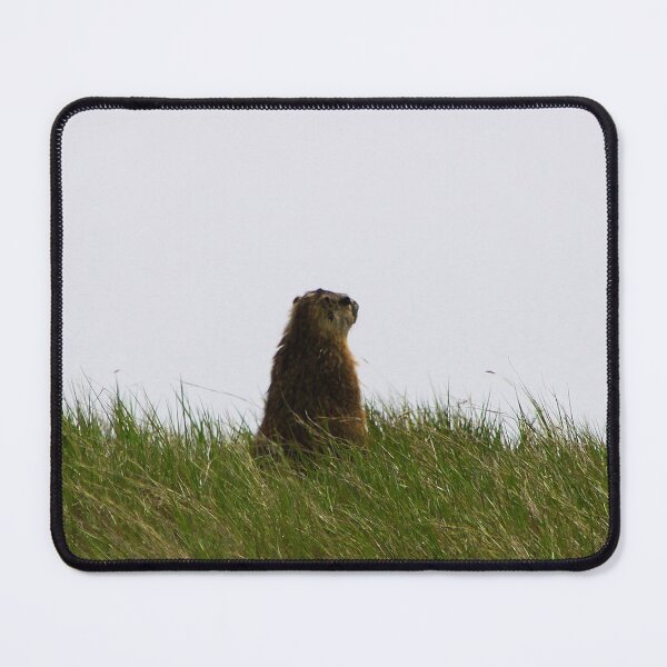 Item preview, The Sentinel  designed and sold by Alyce Taylor.