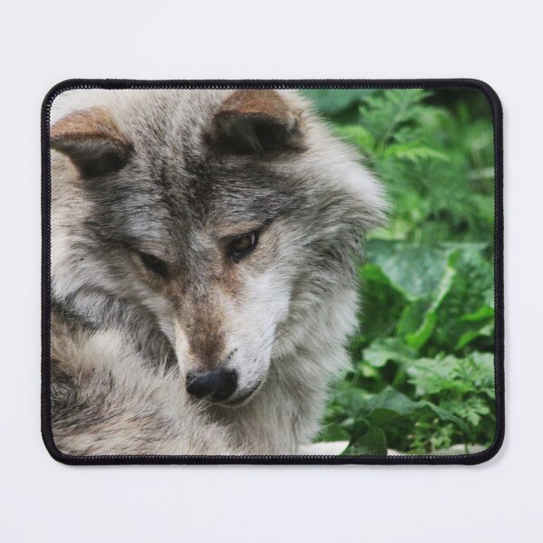 Item preview, Being Coy designed and sold by Alyce Taylor.