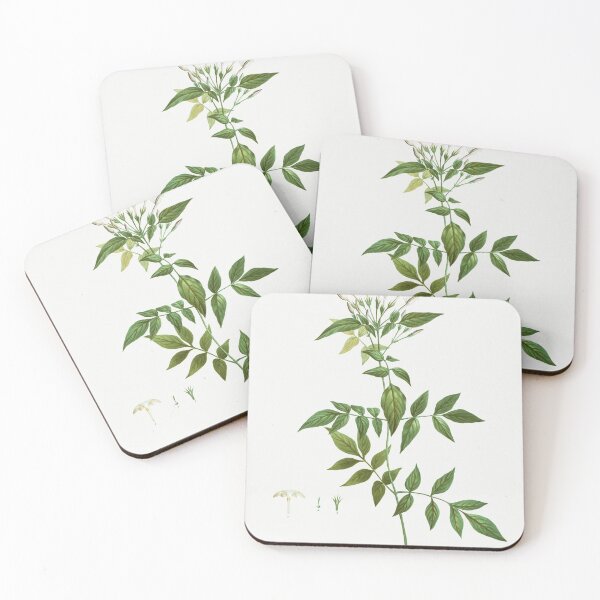 Item preview, White Jasmine, By Pierre-Joseph Redouté designed and sold by Yeldiz.