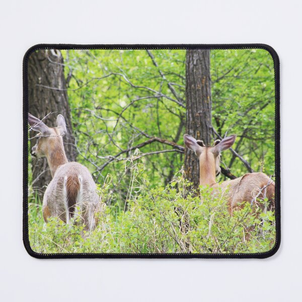 Item preview, Don't Turn Around designed and sold by Alyce Taylor.