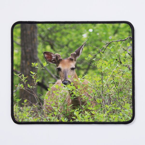 Item preview, Wink designed and sold by Alyce Taylor.