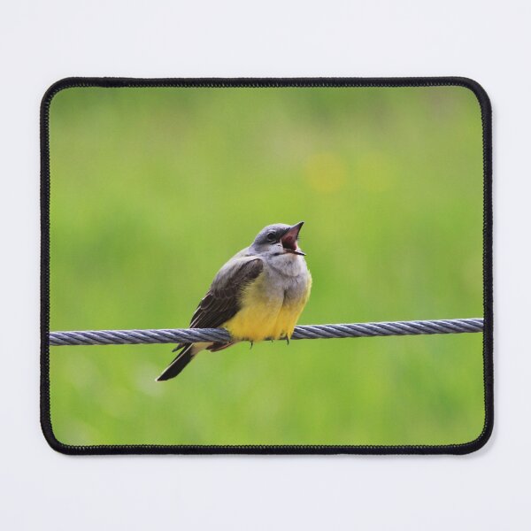 Item preview, Singing Kingbird designed and sold by Alyce Taylor.