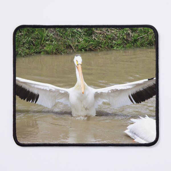 Item preview, STOP!!! designed and sold by Alyce Taylor.