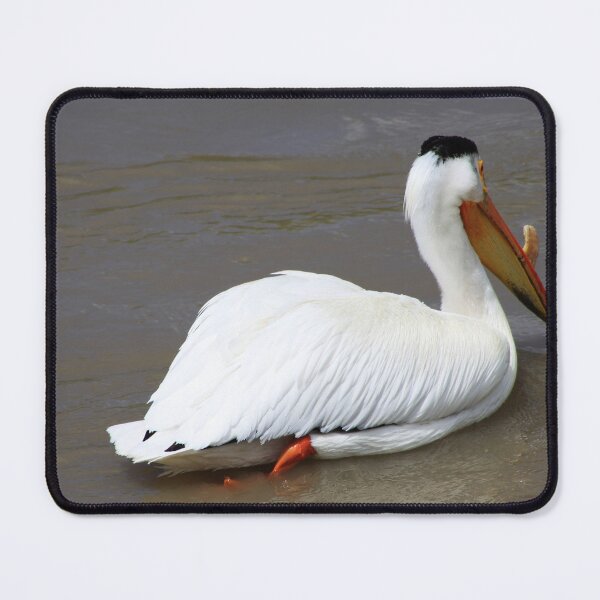 Item preview, Rough Billed Pelican designed and sold by Alyce Taylor.