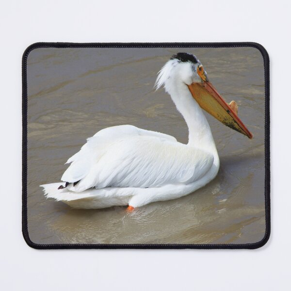 Item preview, Pelecanus Erythrorhynchos designed and sold by Alyce Taylor.
