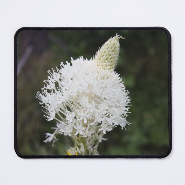 Item preview, Indian Basket Grass designed and sold by Alyce Taylor.