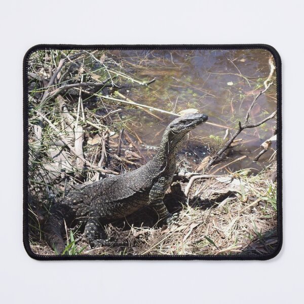 Item preview, Noosa Everglades 6 designed and sold by Diana Grunwald.