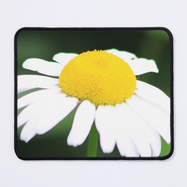 Item preview, There's A Fly On My Daisy designed and sold by Alyce Taylor.