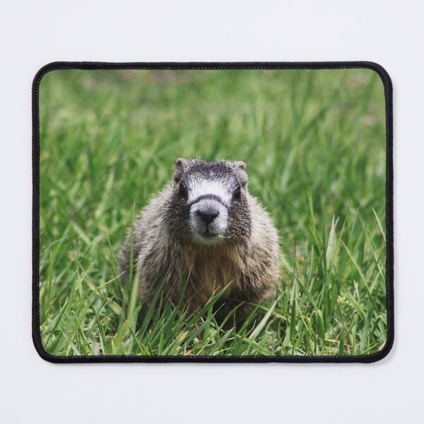 Item preview, Marmot Pup designed and sold by Alyce Taylor.