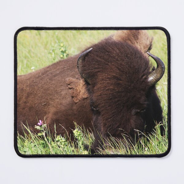 Item preview, Bison Nap designed and sold by Alyce Taylor.