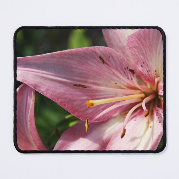 Item preview, Pink Lilies designed and sold by Alyce Taylor.