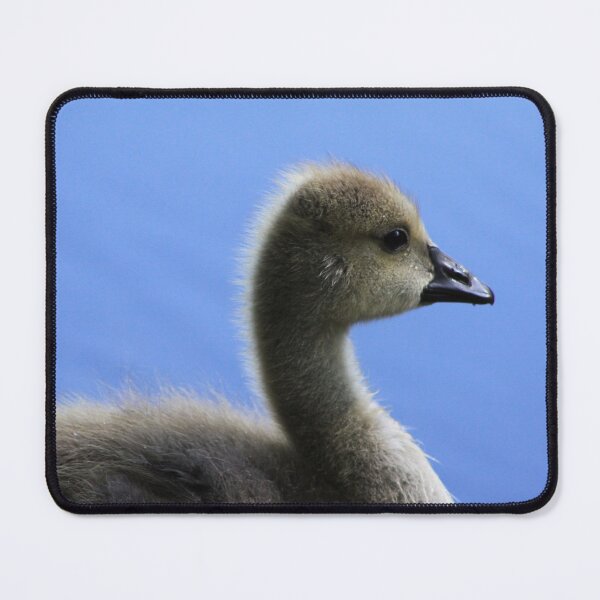 Item preview, Cygnet designed and sold by Alyce Taylor.